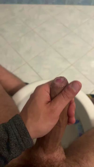 Bullnapol CAM4 Model