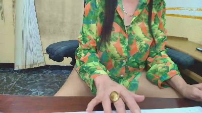 pepin1806 CAM4 Model