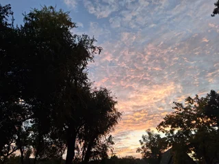 SoloJoe SinParty Model